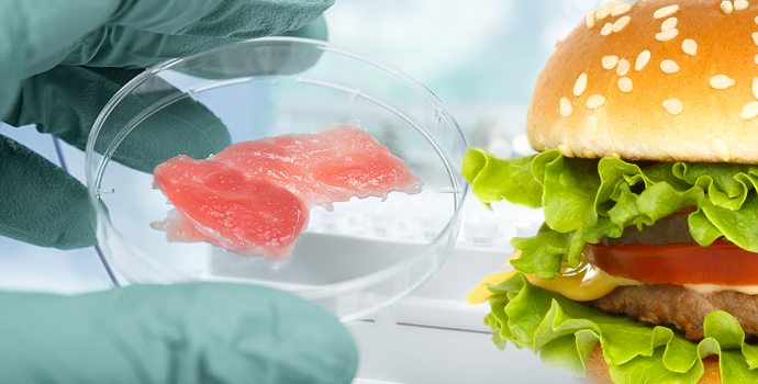 null Nouveau : la viande de culture