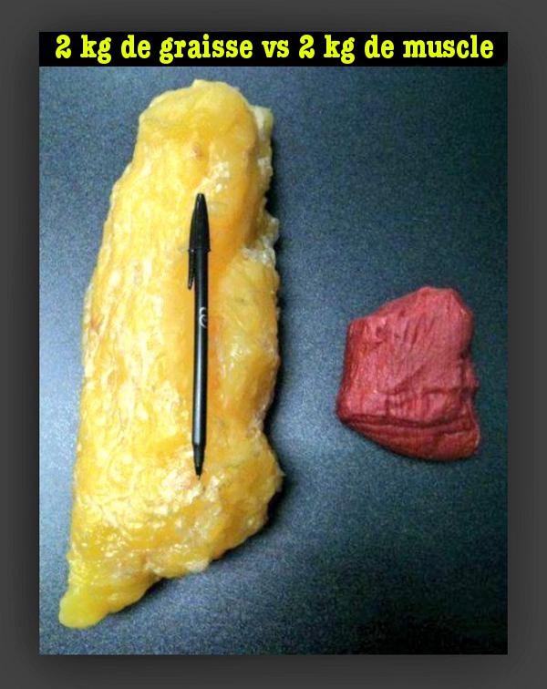 2 kg de graisse Vs 2 kg de viande