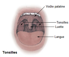 Ronfler