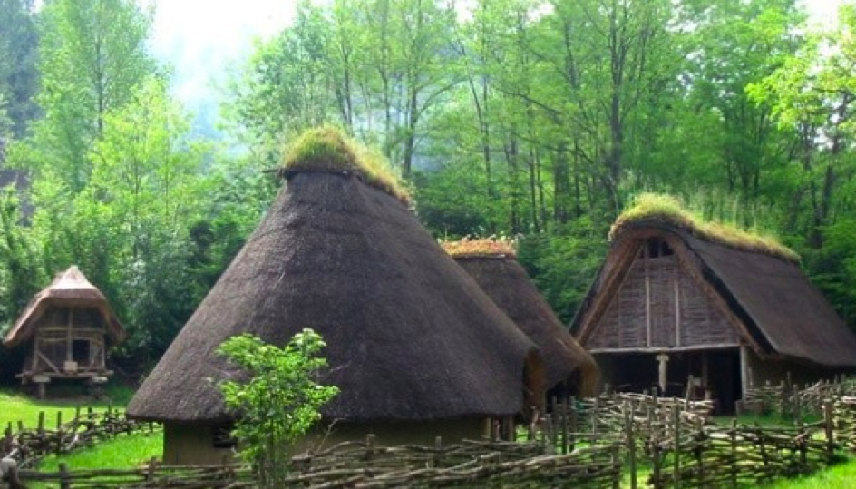 Maisons en pleine fôret