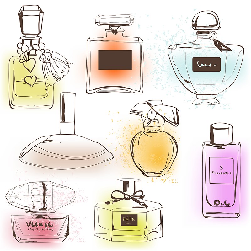 dessins de différents flacons de parfums