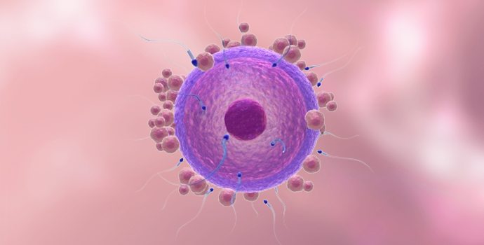 psoriasis alimentation et nutrition