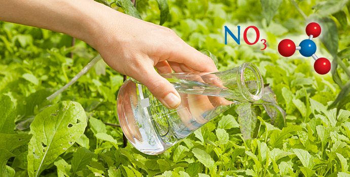 Faut-il craindre les nitrates (et les nitrites) ? - Santé Nature Innovation
