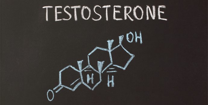 Les femmes ont besoin de testostérone