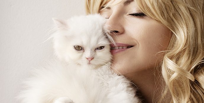 Le chat médecin