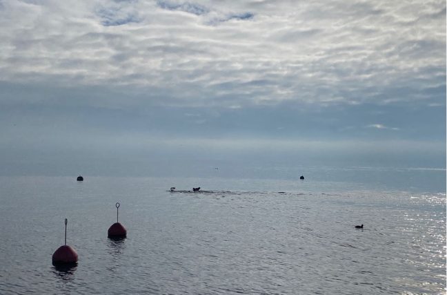 Je me suis baigné dans l’eau du Léman à 8 °C  !