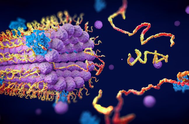 Important : Faites ceci pour nourrir vos enzymes